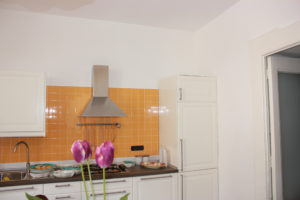 particolare cucina angolo cottura