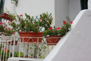 particolare terrazzino di ingresso