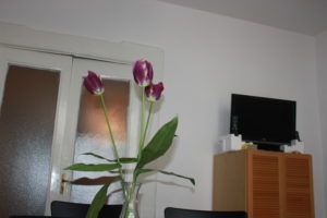 particolare cucina/ingresso